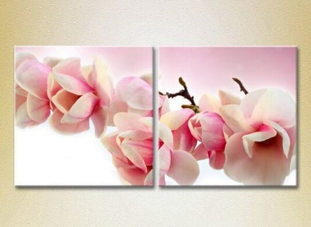 Pictură Magic Color Diptych Magnolia (2613790)
