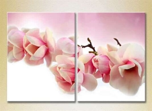 Pictură Magic Color Diptych Magnolia (2613821)