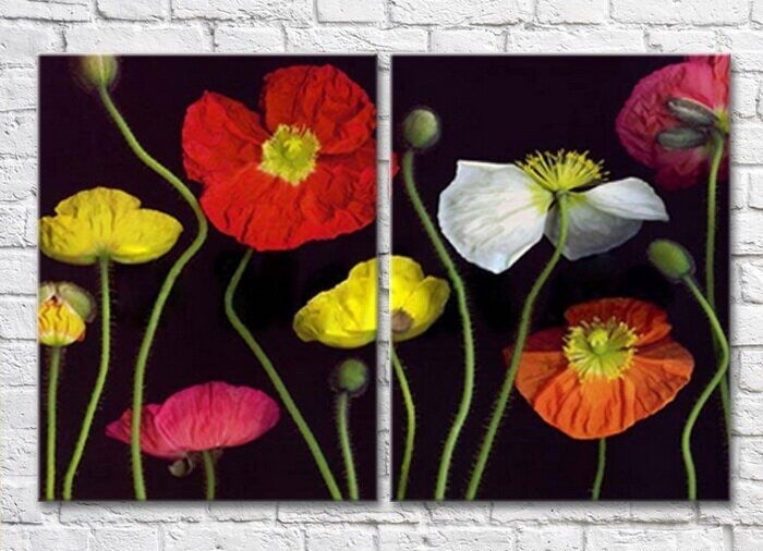 Pictură Magic Color Diptych Multicolored poppies on a Black background 02 (3428036)