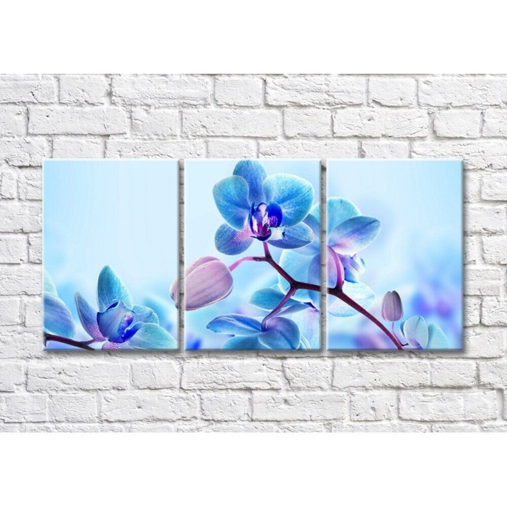 Pictură Magic Color Blue orchid flowers and buds (500249)