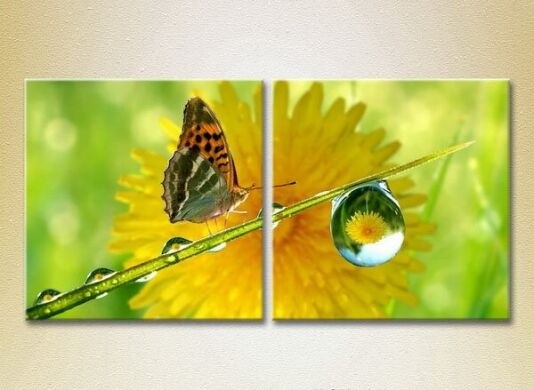 Картина ArtPoster Butterfly and dew (2603027)