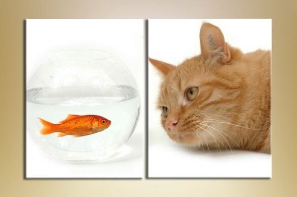 Картина ArtPoster Cat and goldfish (2603014)