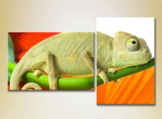 Картина ArtPoster Chameleon (2602976)