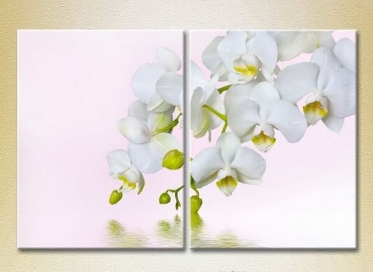 Pictură Magic Color Diptych White Orchid (2613752)
