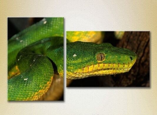 Pictură ArtPoster Green snake 01 (2602998)