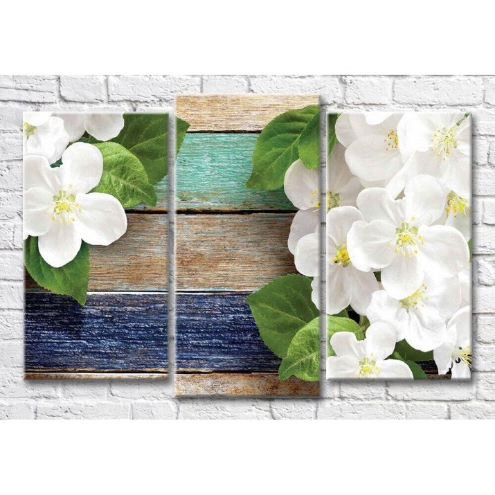 Картина Magic Color Flowers and leaves of apple tree on a plank background (3565209)