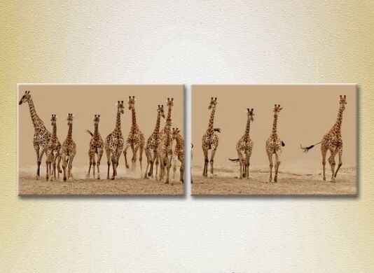 Картина ArtPoster Herd of giraffes (2602977)