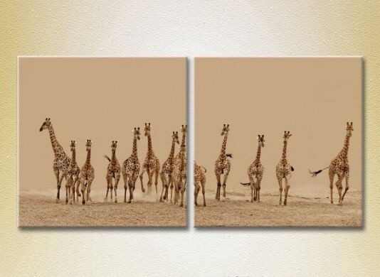 Картина ArtPoster Herd of giraffes 01 (2602993)