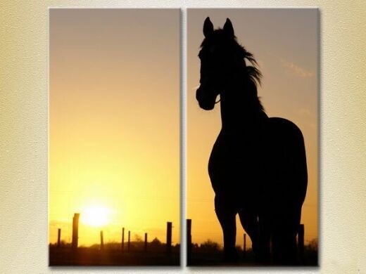 Pictură ArtPoster Horse silhouette at sunset (2602990)