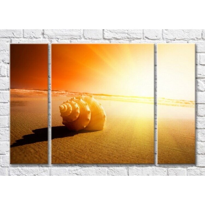 Pictură Magic Color Large seashell in sunlight on the sand (3469244)