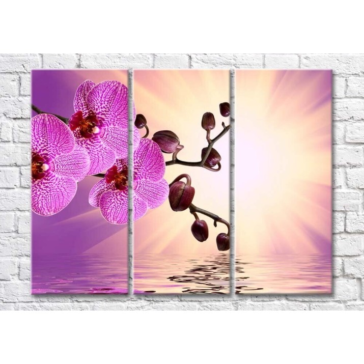 Pictură Magic Color Orchid branch above water in sunlight (500189)
