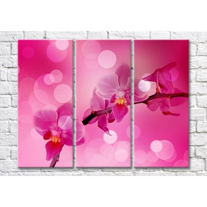 Pictură Magic Color Orchid branch on a Pink background with White circles (500188)