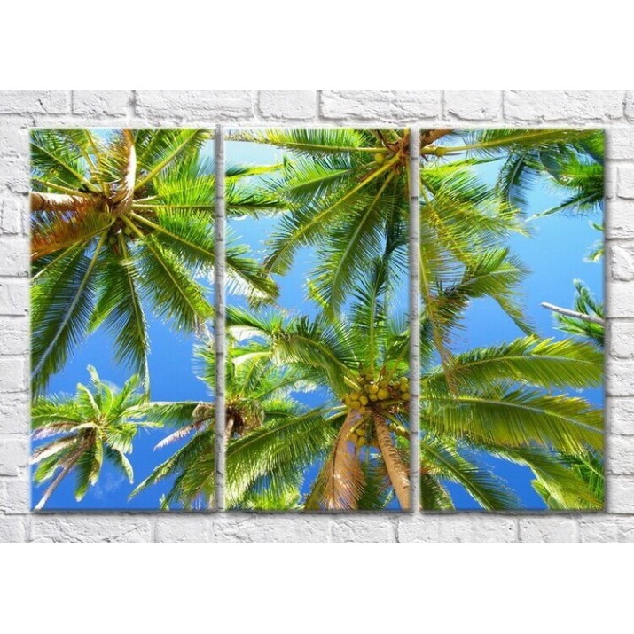 Картина Magic Color Palm branches against the sky (3469128)