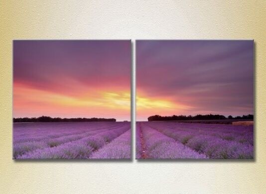 Pictură ArtPoster Lavender field 04 (2164472)