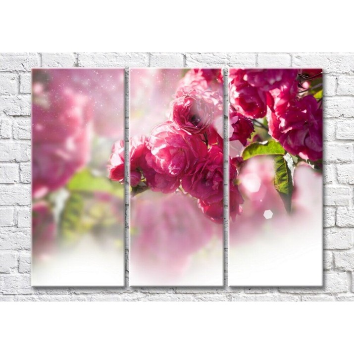 Pictură Magic Color Peach branch with Pink flowers (500190)