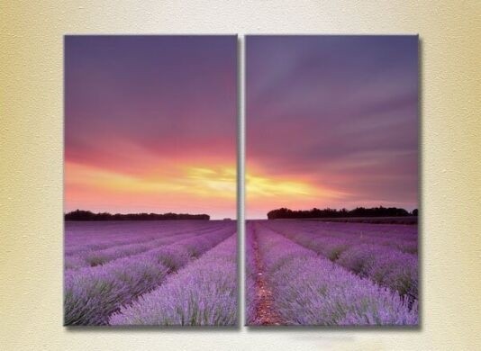 Pictură ArtPoster Lavender field 05 (2164475)