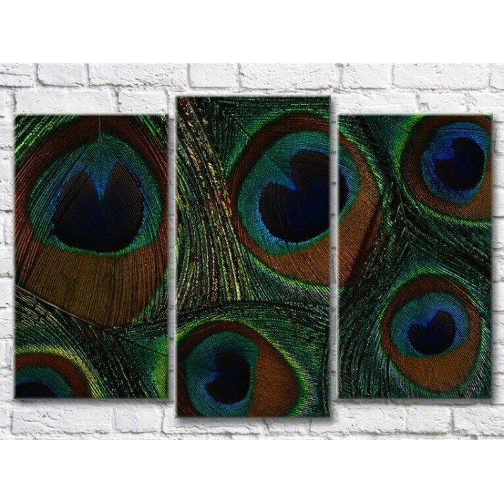 Pictură Magic Color Peacock feathers, texture (3499118)