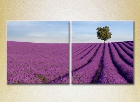 Pictură ArtPoster Lavender field with tree (2164458)