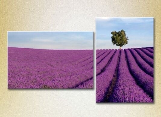 Pictură ArtPoster Lavender field with tree 01 (2164459)