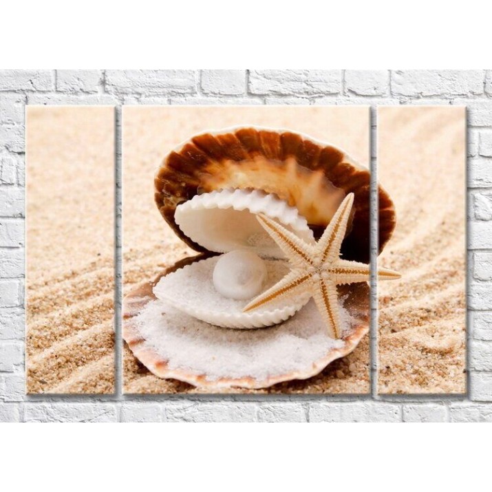 Pictură Magic Color Shell with pearl and starfish on the sand (3469230)