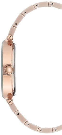 Наручные часы Anne Klein AK/1018RGTN