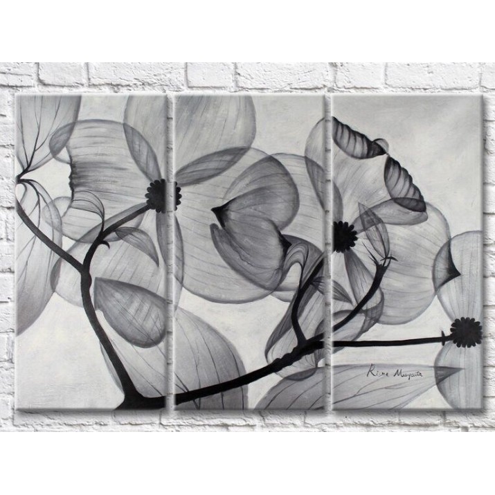 Pictură Magic Color Transparent flowers Black and White on a Gray background (3499090)