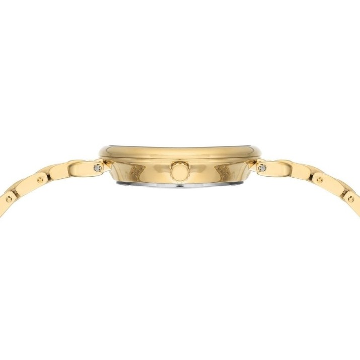 Наручные часы Anne Klein AK/2158GYGB