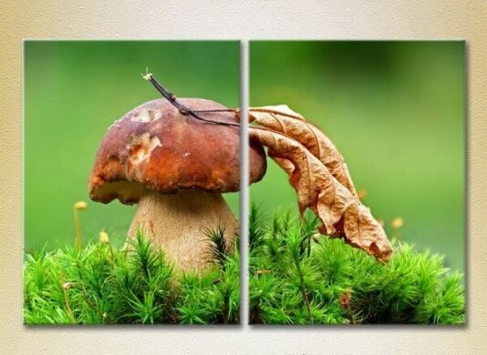 Картина ArtPoster Mushroom in Green grass 02 (2602773)
