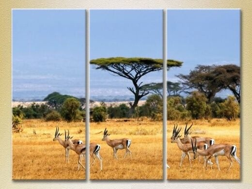 Картина Magic Color Triptych African Landscape (2698968)