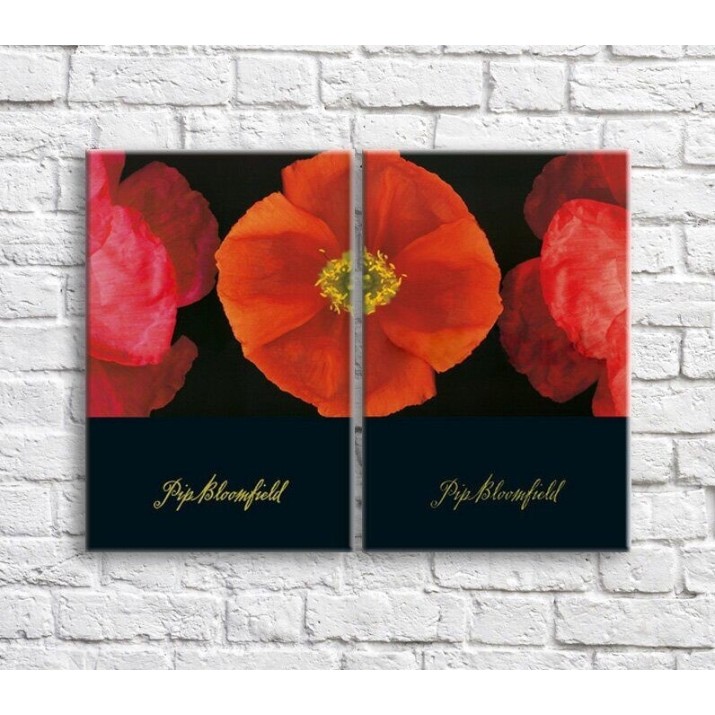 Pictură ArtPoster Orange poppies on Black background (3467855)