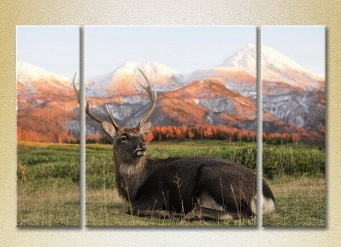 Картина Magic Color Triptych Deer in the mountains (2698992)