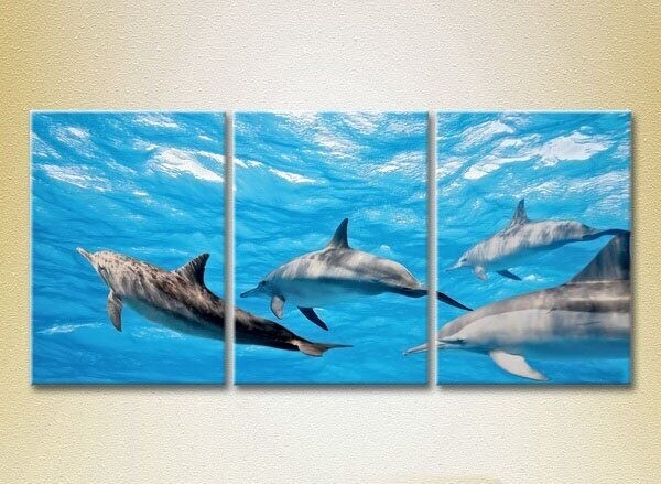 Картина Magic Color Triptych Flock of Dolphins (2699009)