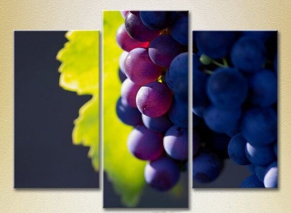 Pictură Magic Color Triptych Grapes Lydia (2698625)