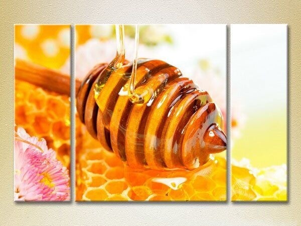 Картина Magic Color Triptych Honey in the honeycomb (2698672)