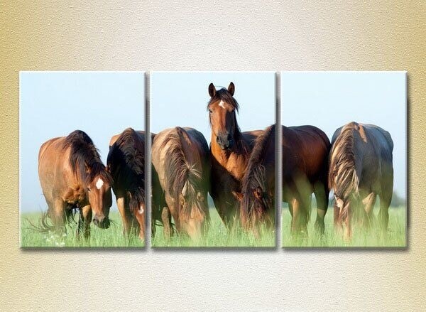 Картина Magic Color Triptych Horses in the Field (2698985)