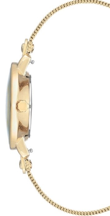 Ceas de mână Anne Klein AK/3180GBST
