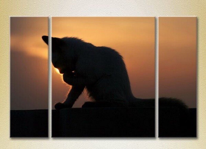 Картина Magic Color Triptych Kitten at Sunset (2698978)