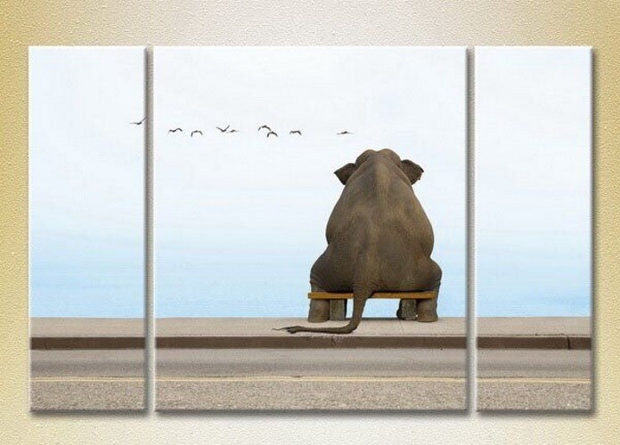 Картина Magic Color Triptych Elephant on the bench (2699001)