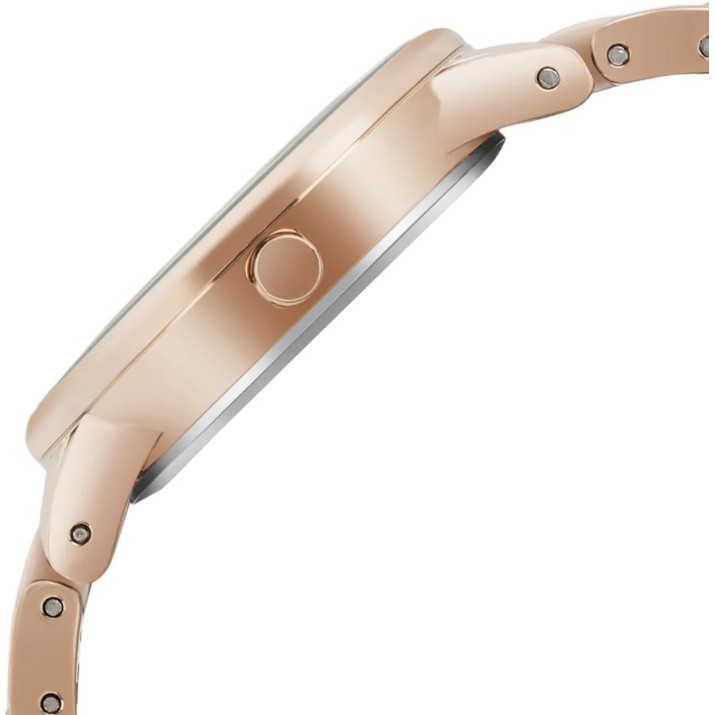 Ceas de mână Anne Klein AK/3344TPRG