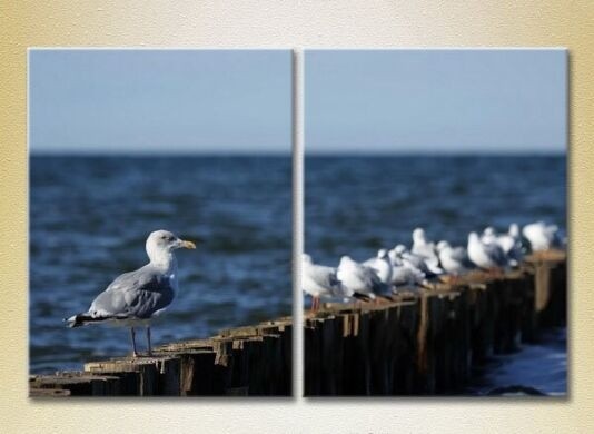 Pictură ArtPoster Seagulls in Crimea 02 (2164438)