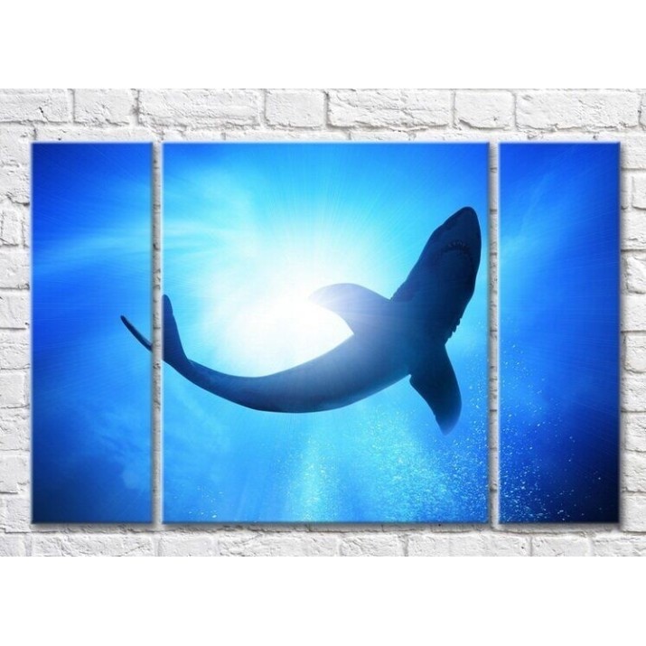 Картина ArtPoster Shark swims in the sea (3469207)