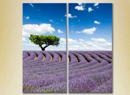 Pictură ArtPoster Tree in lavender field 03 (2164454)