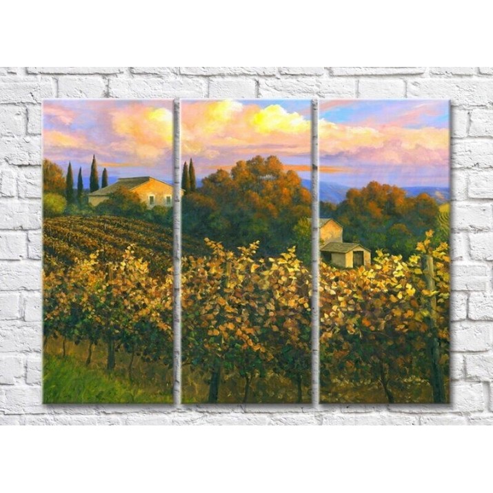 Pictură ArtPoster Vineyards in the Hills (3470935)