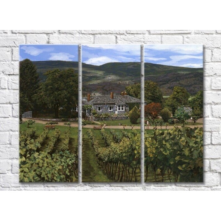 Картина ArtPoster Vineyards in the Hills (3470939)