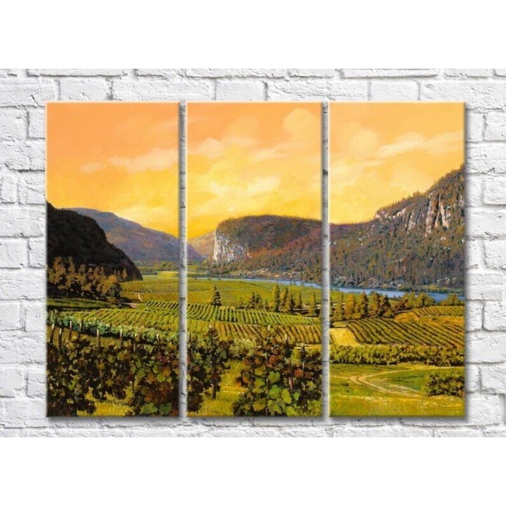 Картина ArtPoster Vineyards in the Hills (3470940)