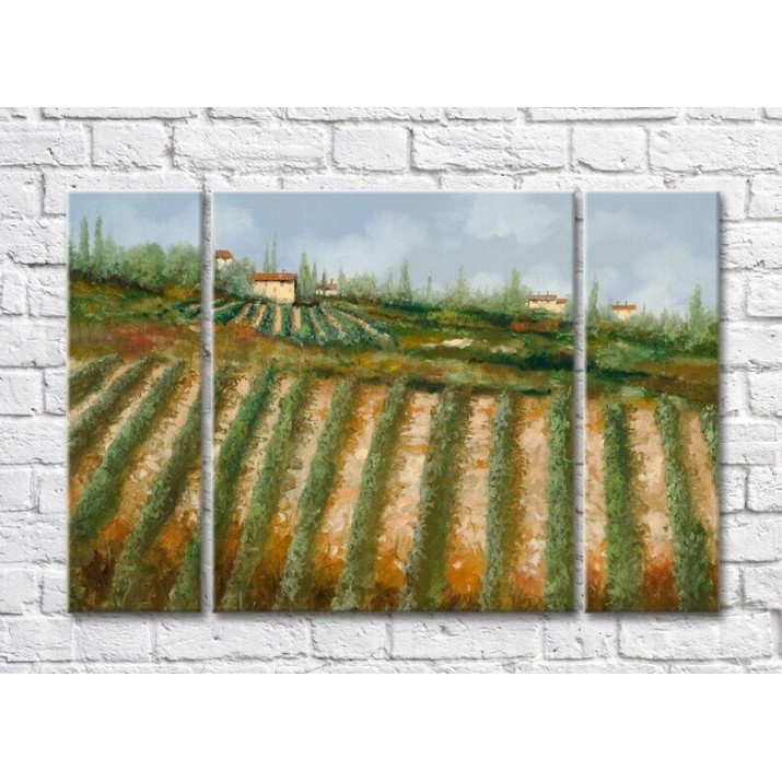 Картина ArtPoster Vineyards in the Hills (3470957)