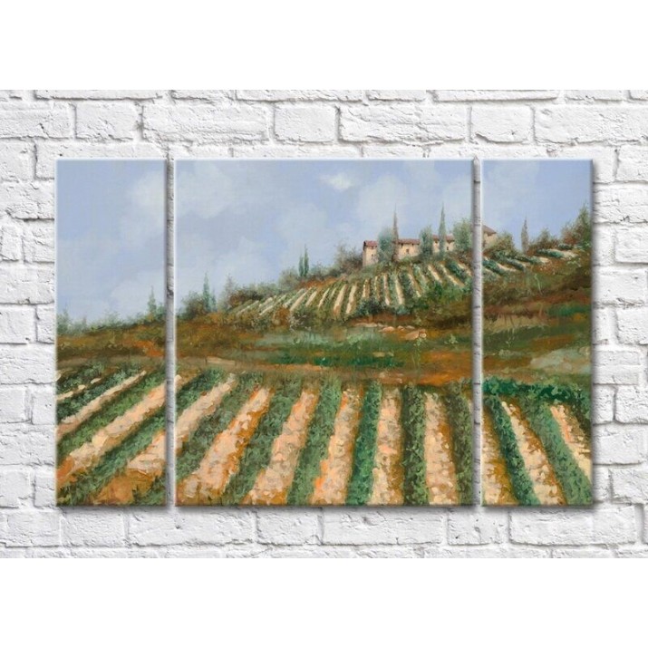 Картина ArtPoster Vineyards in the Hills (3470963)