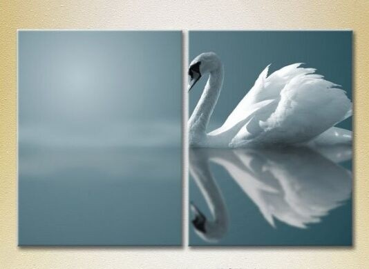 Pictură ArtPoster White swan (2602995)