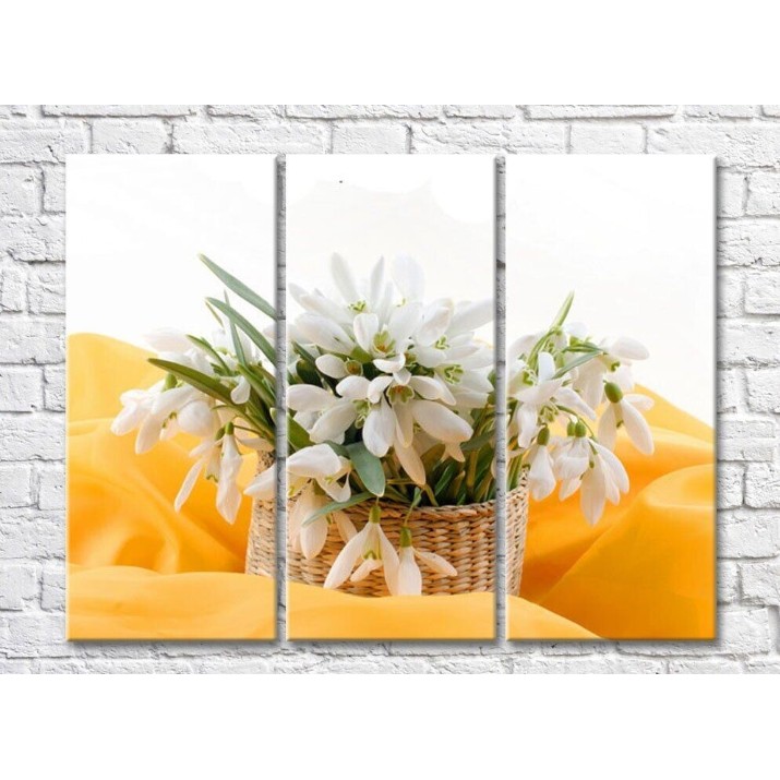 Картина Rainbow Basket with snowdrops on a yellow background (500332)