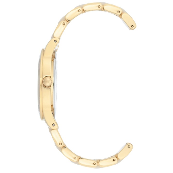 Ceas de mână Anne Klein AK/3610GPWT